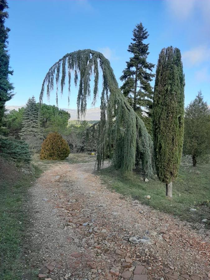 Domaine De La Xavoliere Ξενοδοχείο Saint-Cézaire-sur-Siagne Εξωτερικό φωτογραφία