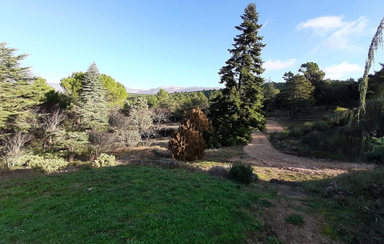 Domaine De La Xavoliere Ξενοδοχείο Saint-Cézaire-sur-Siagne Εξωτερικό φωτογραφία