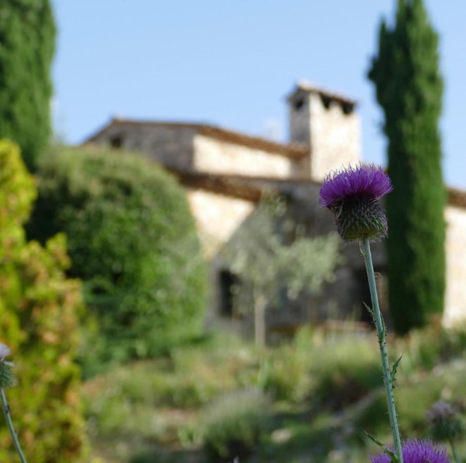 Domaine De La Xavoliere Ξενοδοχείο Saint-Cézaire-sur-Siagne Εξωτερικό φωτογραφία