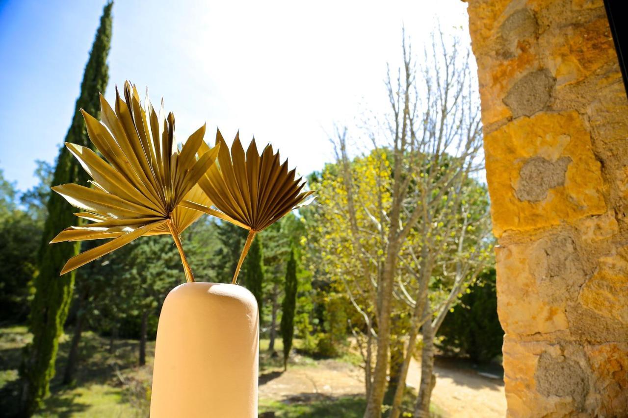 Domaine De La Xavoliere Ξενοδοχείο Saint-Cézaire-sur-Siagne Εξωτερικό φωτογραφία